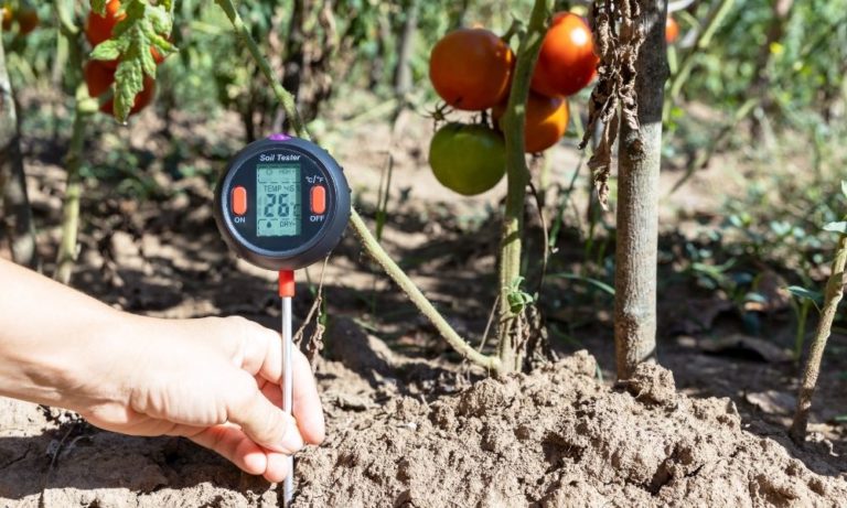 The Importance of Soil Moisture Monitoring