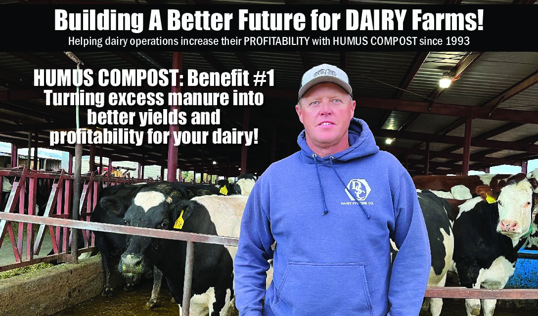 dairy page cover 2